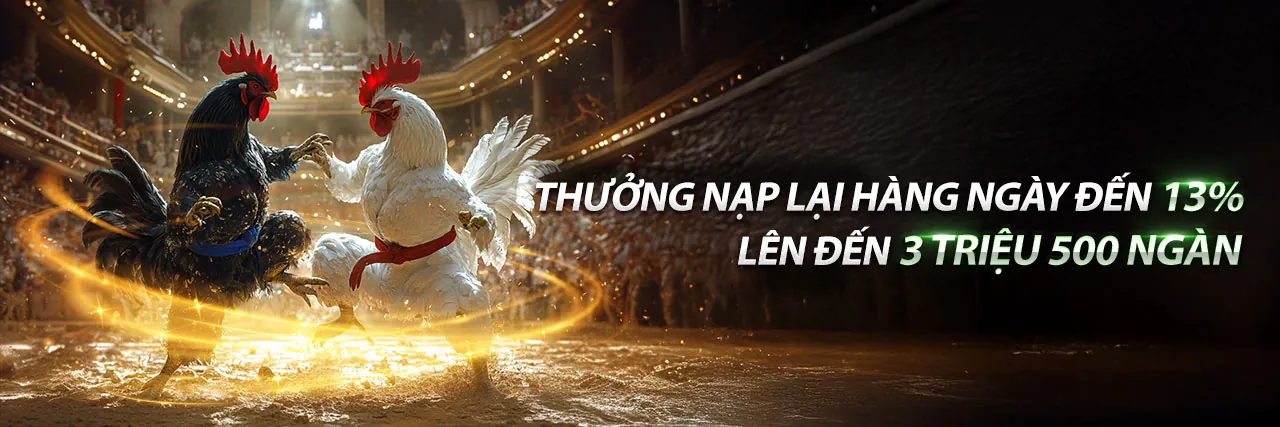Các chương trình khuyến mãi good88 Rocks